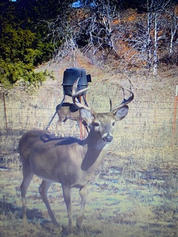 j69077712661__6D756A0A-6E15-4CF1-8148-1164D2003BCD