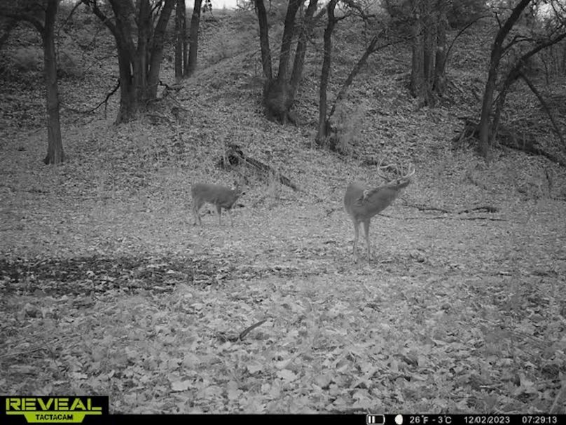 591F97B3-E2B3-4AE0-82F8-7371F087BD87