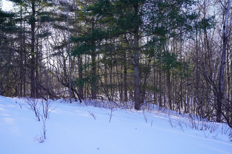 DSC05548