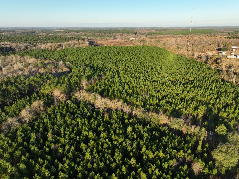 dji_fly_20231229_082408_976_1703856708427_photo