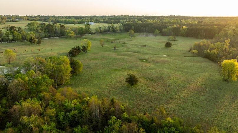 82 Marion TX 143 and 117 Featured_ProPhoto-111