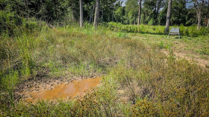 Copy of 14-20250710_102158