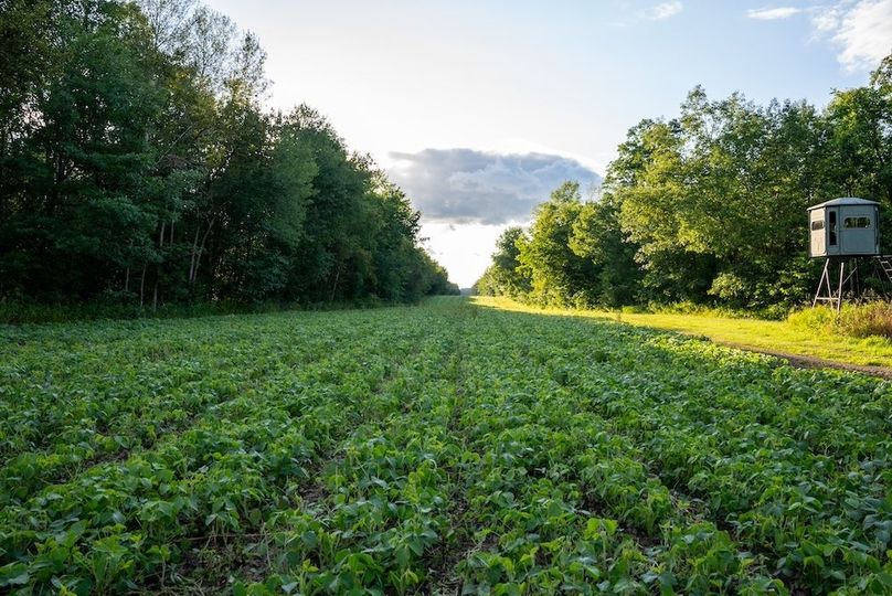 Cass MN 1095 Featured ProPhoto-10