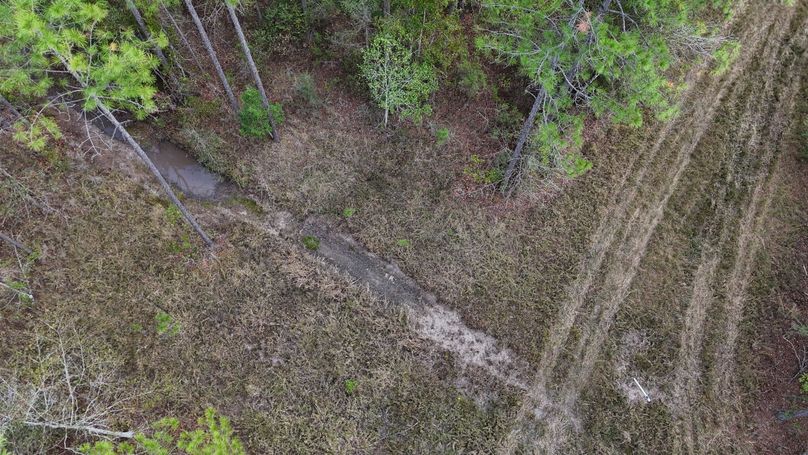 DJI_20231026123941_0038_D