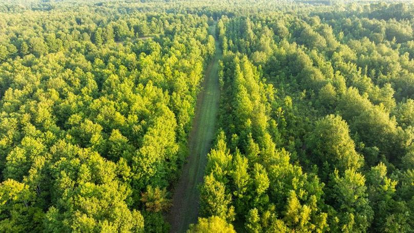 MadisonParLa1372-095