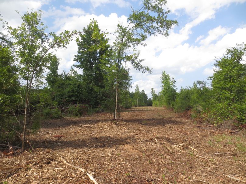 45A0F981-A122-4C53-AAC8-ED559B8857D1