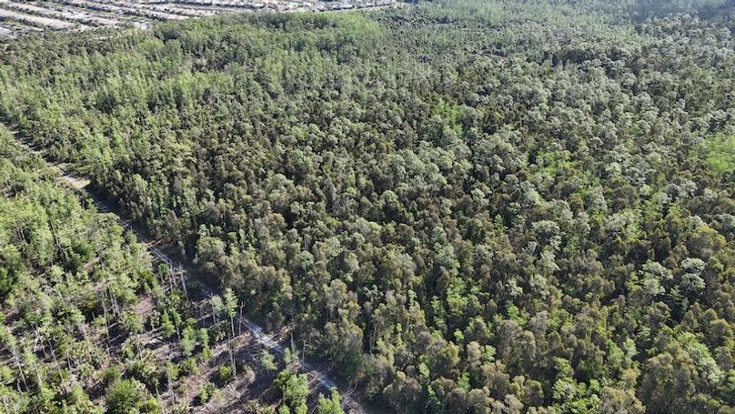 DJI_20260422092425_0499_D