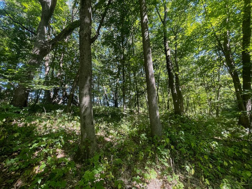 Grant 110 - 35 of 47