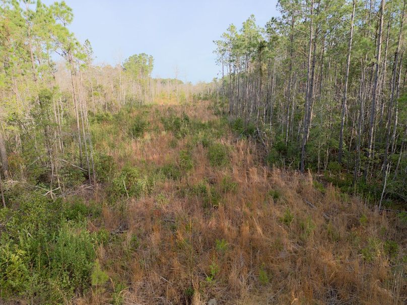 DJI_20240227083120_0025_craven60