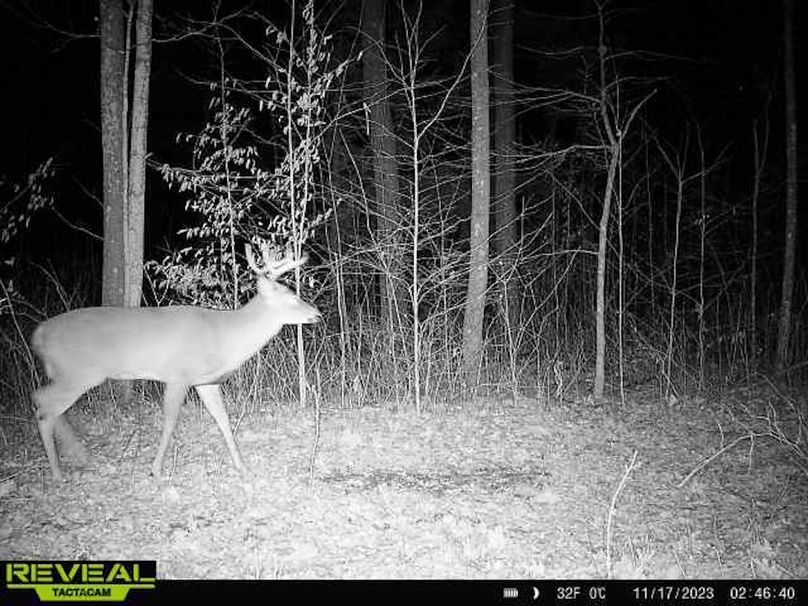 865814048724973-100-1-11172023024640-W1011890