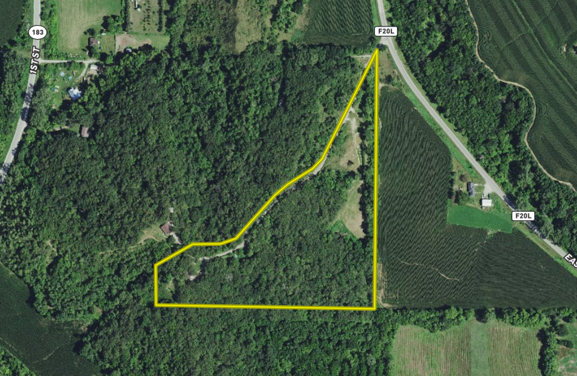 Screen Shot 2024-01-31 at 7.09.06 PM