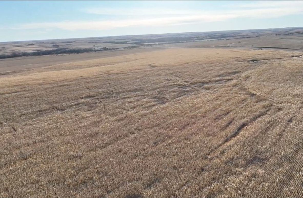 Screen Shot 2024-12-19 at 2.25.19 PM