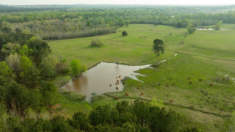 80 Marion TX 143 and 117 Featured_ProPhoto-91