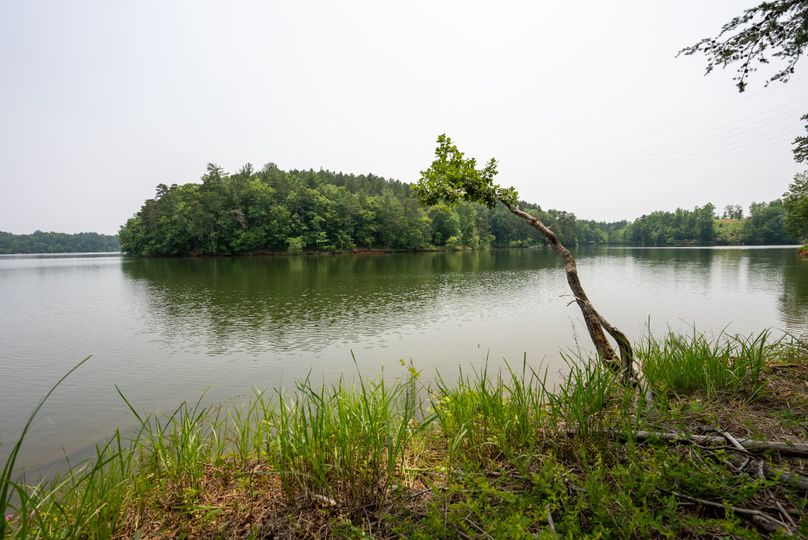 CCC09833