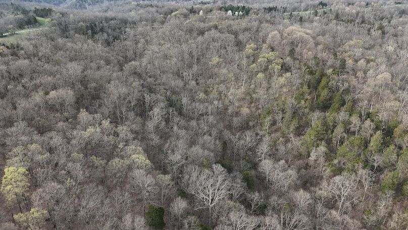 DJI_20250329094145_0276_D