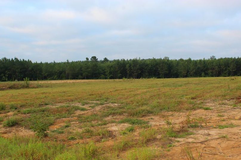 Madison Co - 20.25 - Camden Glenn-07