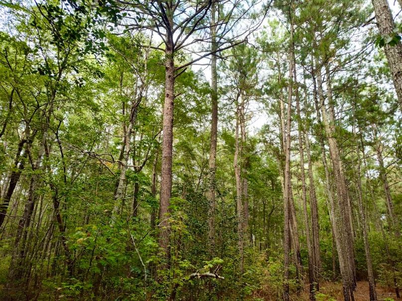 IMG_20250914_173638419_HDR