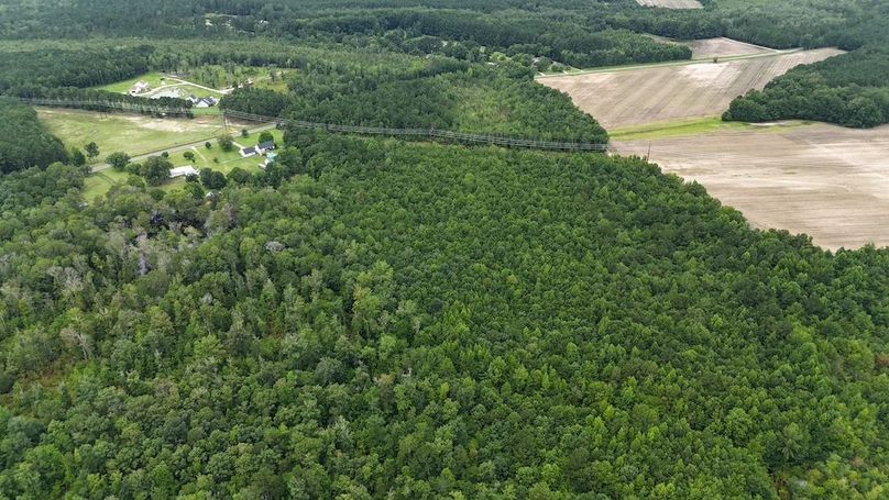 dji_fly_20250715_115140_0602_1752596194104_photo