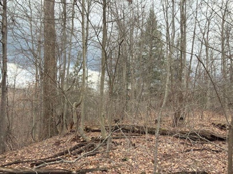 DA40C55C-B8FA-40C6-8697-2A0AAF7337F4_4_5005_c