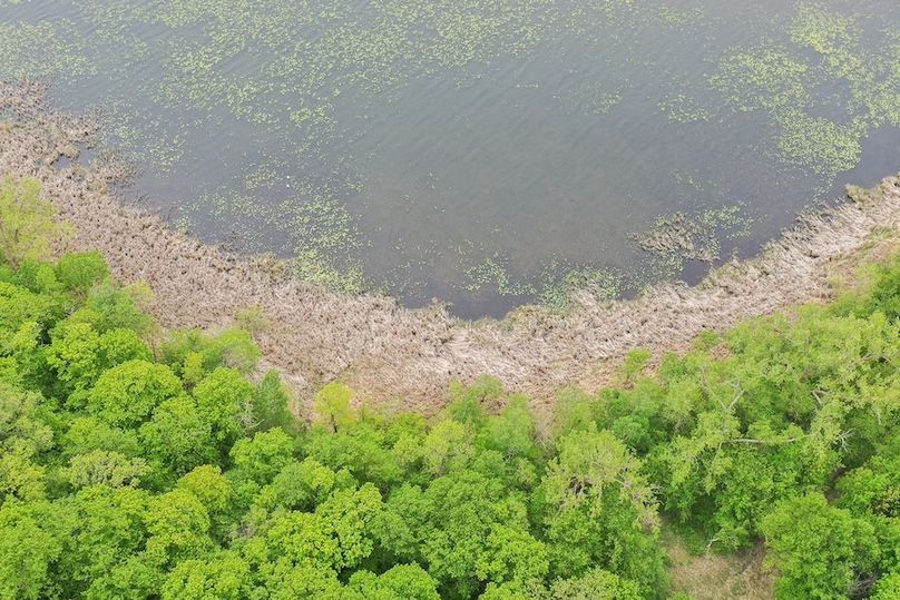 DJI_0331