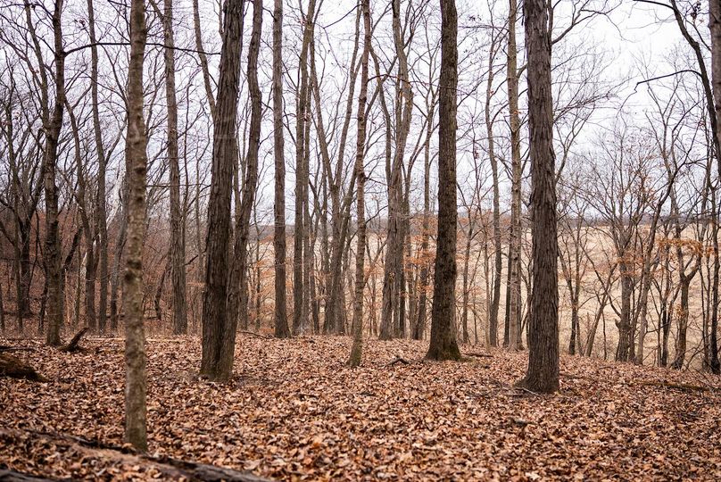 Pike IL 96.87 Adv Pro Photo-55