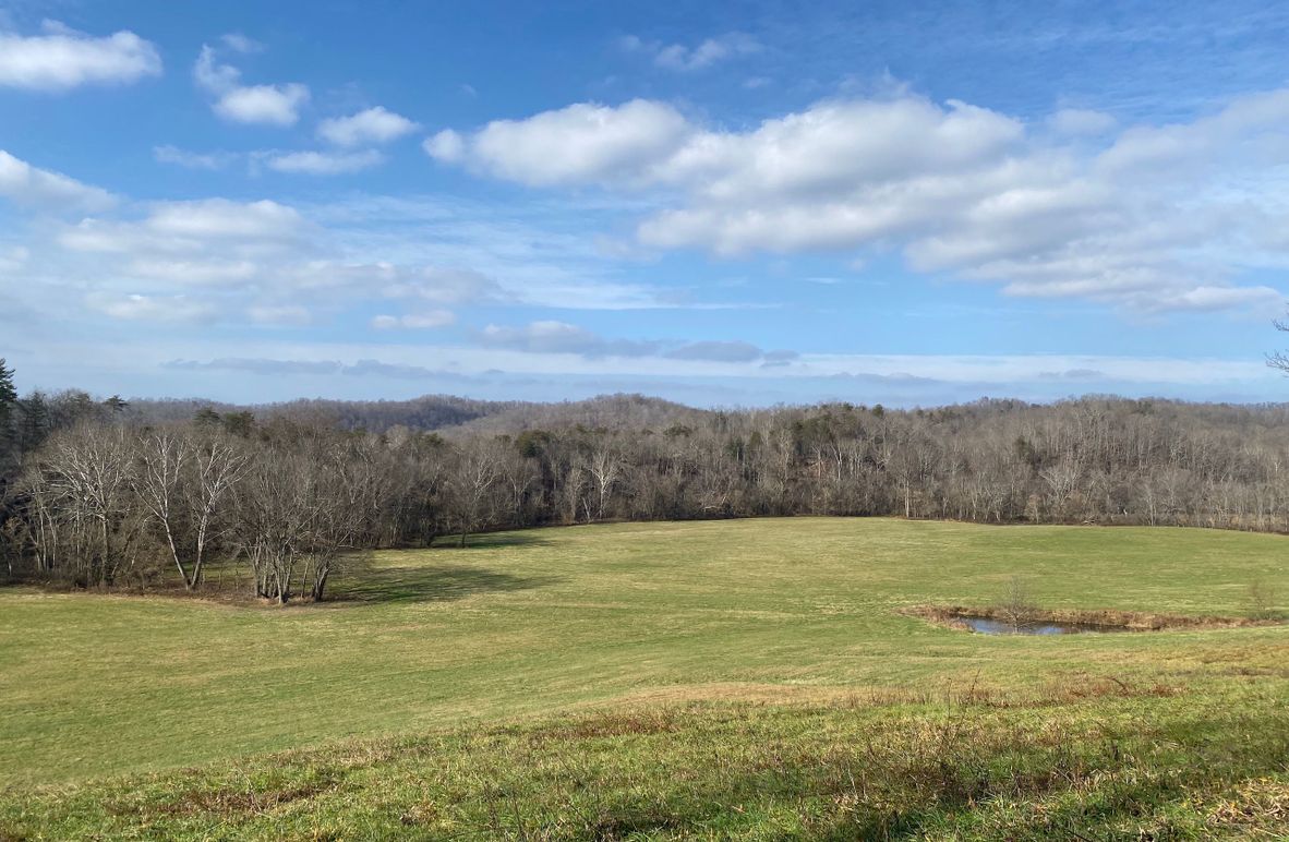 001 beautiful ground level view in the east section of the property copy