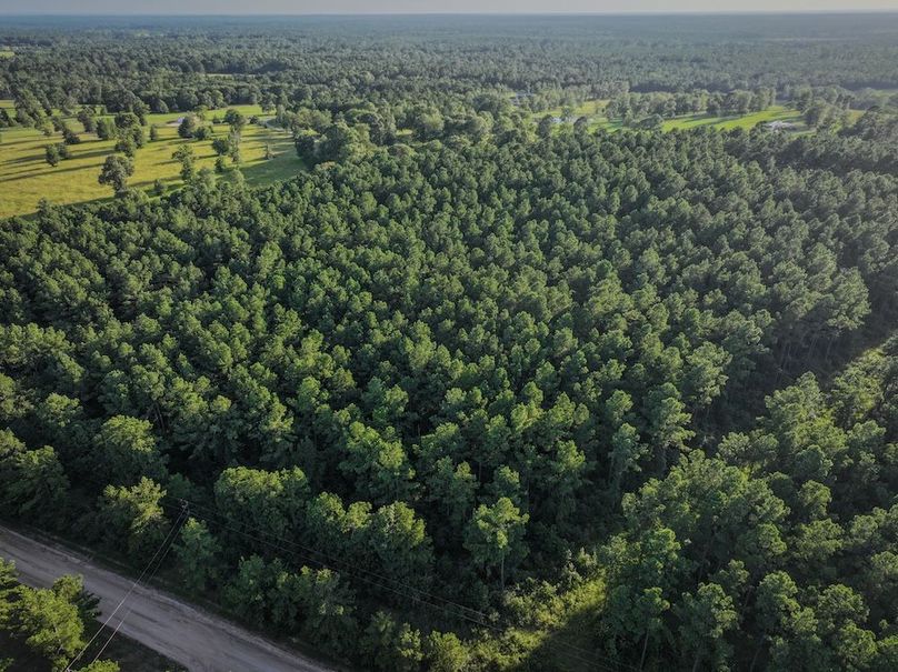 Copy of DJI_20240704191117_0043_D