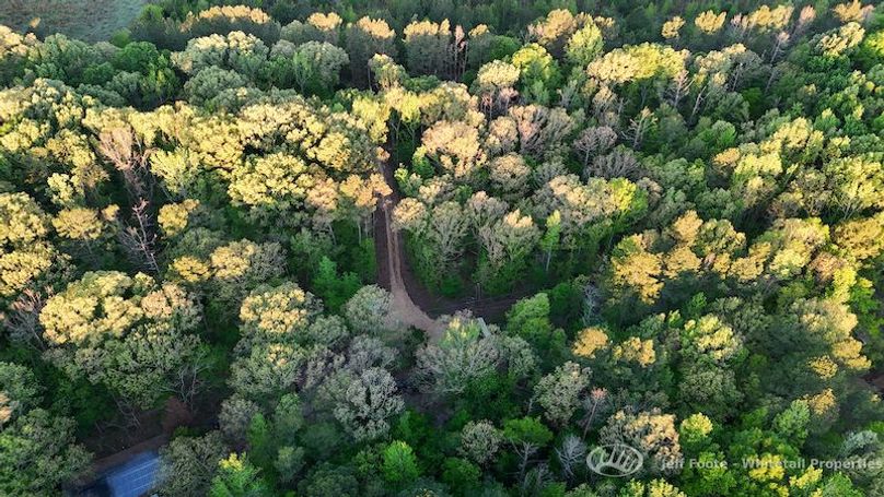 Hinds Co - 51 - Hughes-69