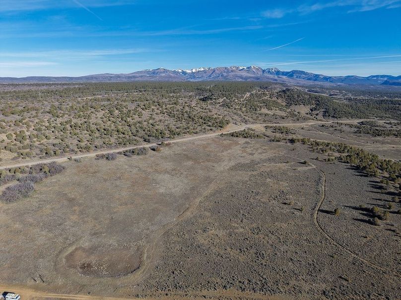 DJI_20260312091947_0144_D