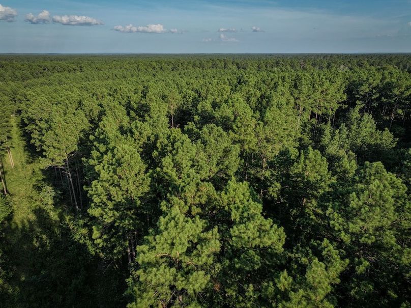 Copy of DJI_20240704190701_0027_D