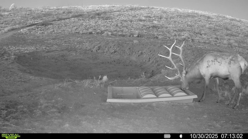 016578004267347-100-2-10302025071302-V-SYFW03420