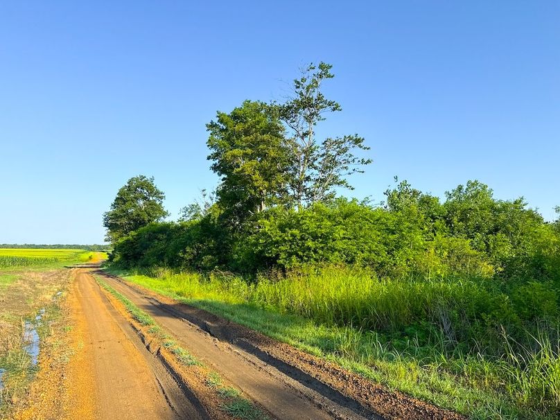 Copy of Noxubee 70 +- Tract 3-28