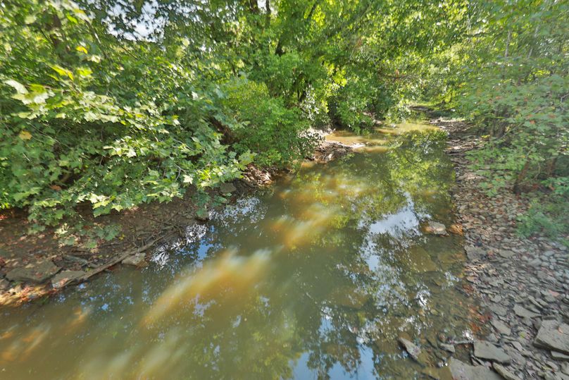 020 stream behind field along markwell rd