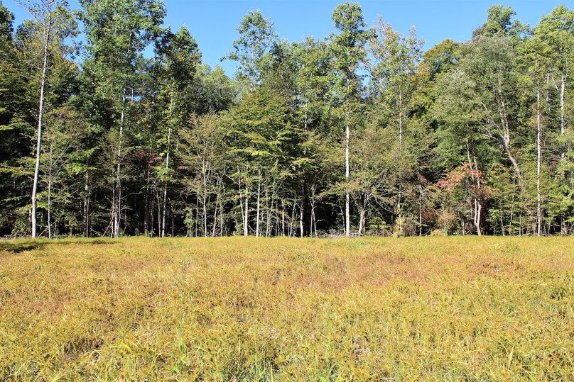 012 open flat area near the entrance of the property