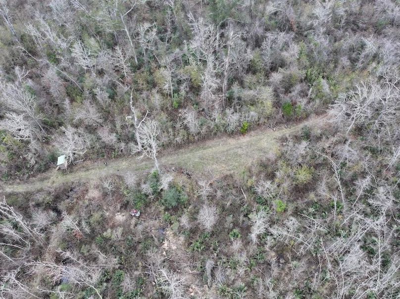 dji_fly_20260123_120816_0924_1769444780214_photo