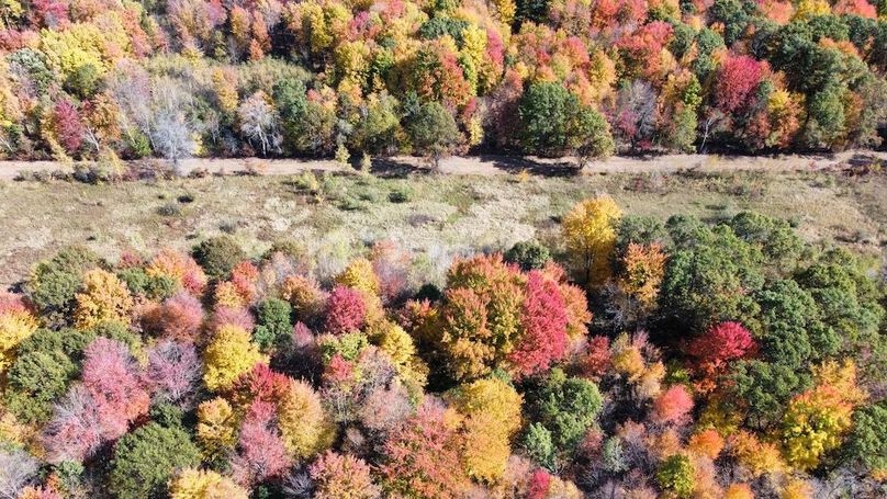 dji_fly_20241010_133612_431_1728585627240_photo_optimized