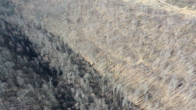DJI_0623