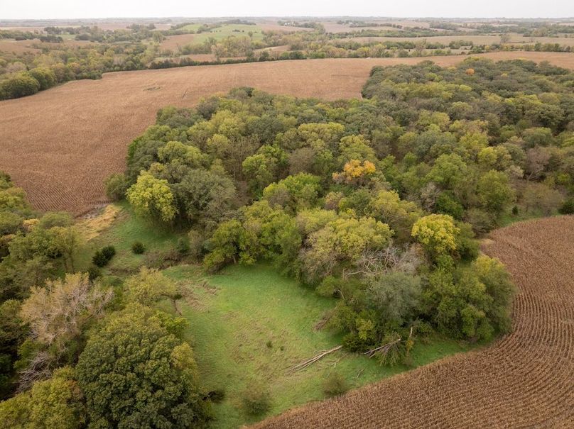 DJI_20251011101902_0140_D