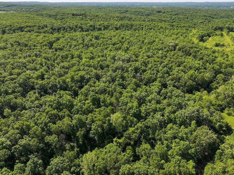 DJI_20250522094737_0360_D