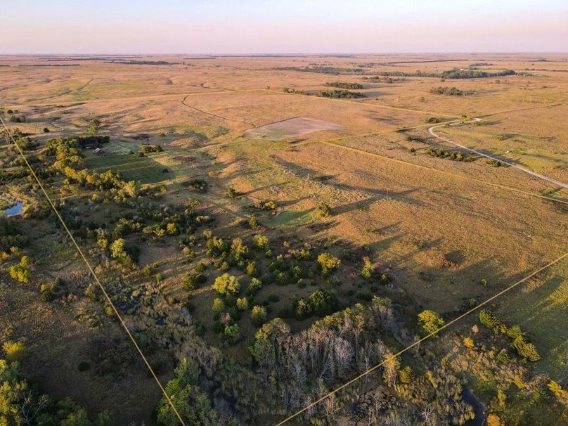 Comanche196_0001 copy