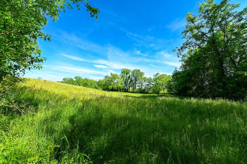 Copy of st clair 25 auction(8)