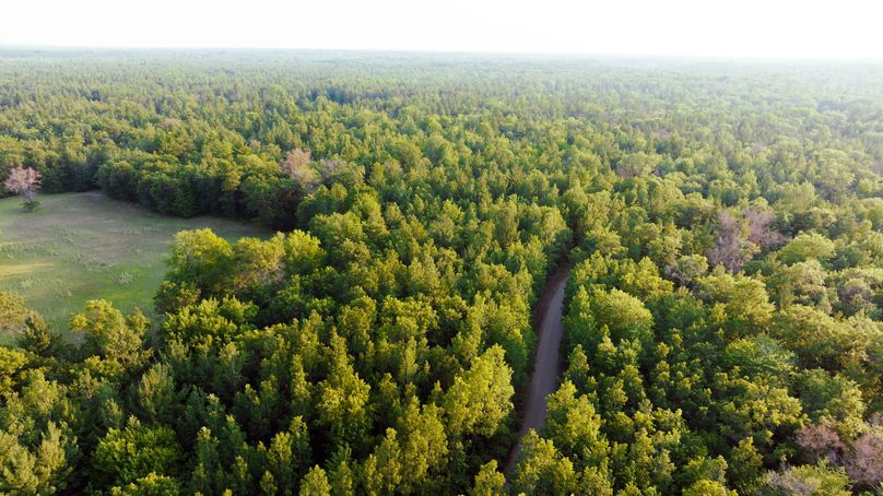 Ogemaw MI 475 Featured Pro Photo-0101