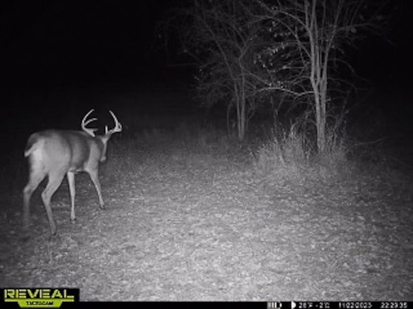 865509050418056-40-4-11222023223004-W1003402