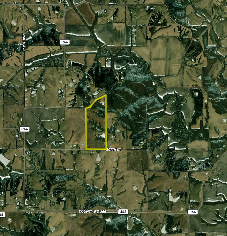 Screenshot 2026-02-10 at 8.22.17 AM