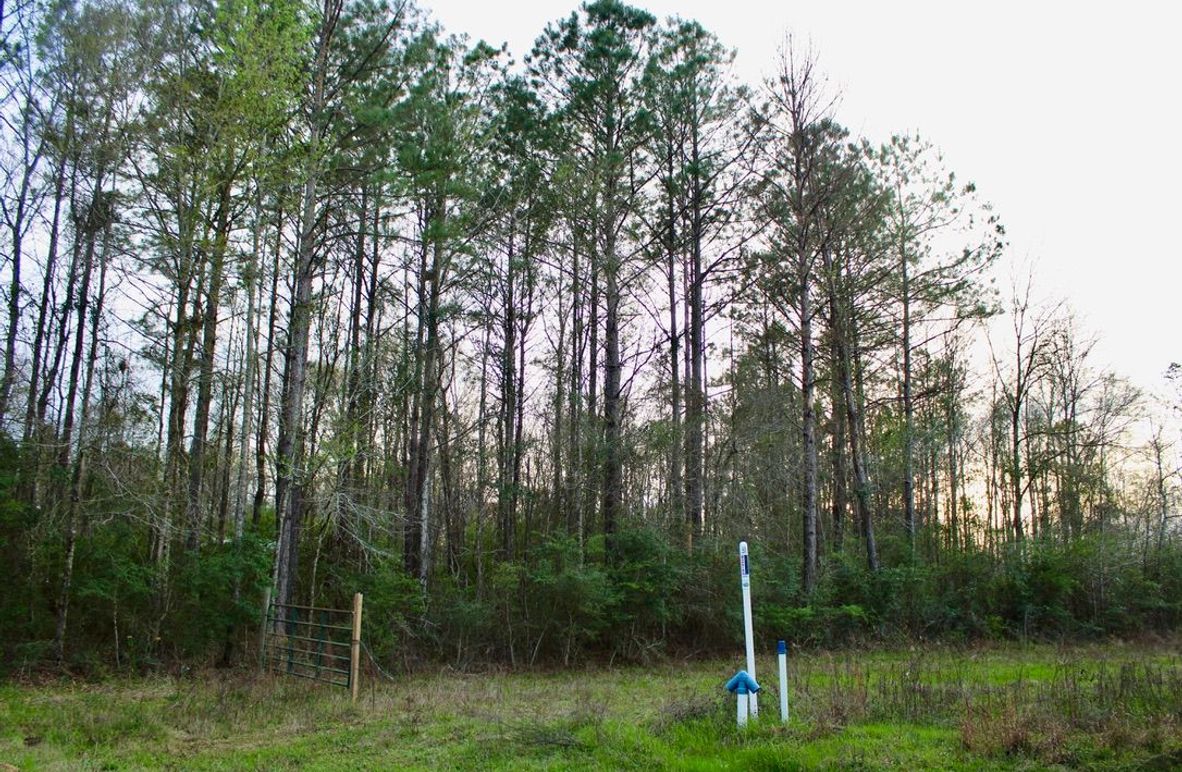 5FFC7F68-6B0F-4BC9-BE39-2EA17E9A5339_1_105_c