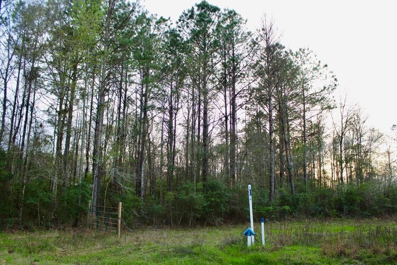 5FFC7F68-6B0F-4BC9-BE39-2EA17E9A5339_1_105_c