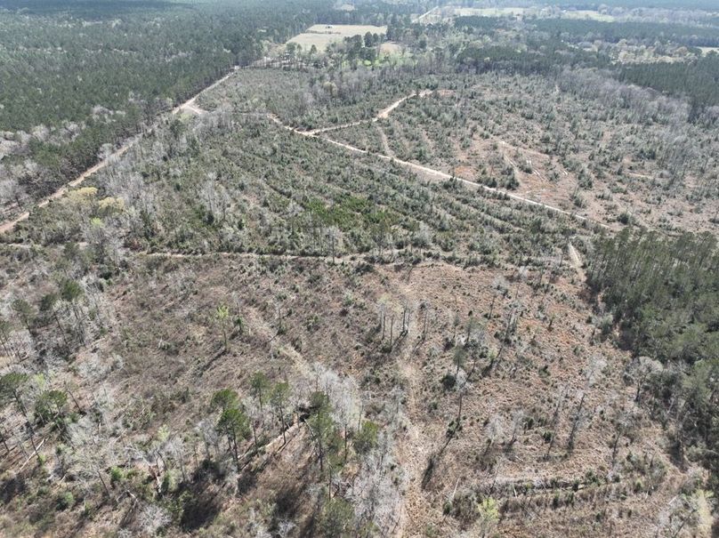 dji_fly_20260303_140440_309_1772637895503_photo