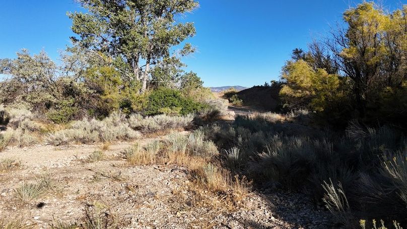 Salina Creek Acreage with Water Rights38