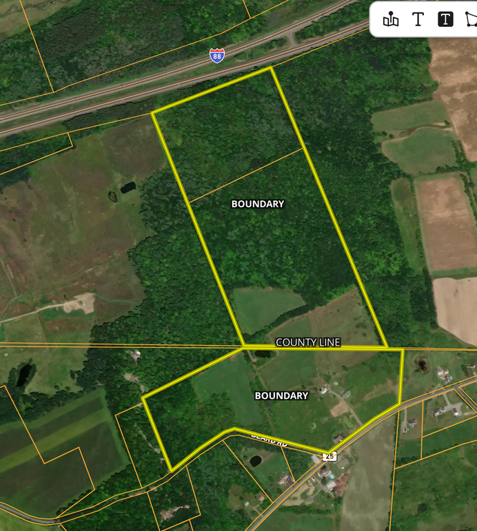 Fiorini overview map
