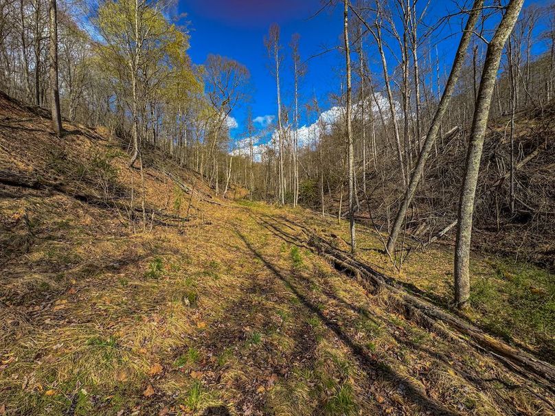 Wirt, WV 156.941 AC Full-29